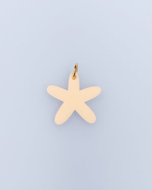 Schmuck-Anhänger in Seesternform.